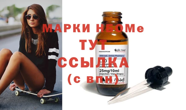 гашик Осинники